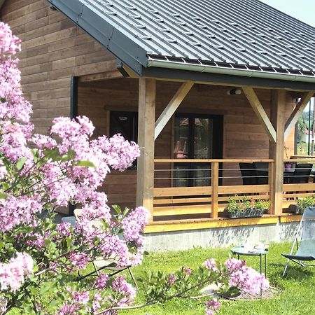 Villa L Etincelle Du Manon Lajoux Exterior foto